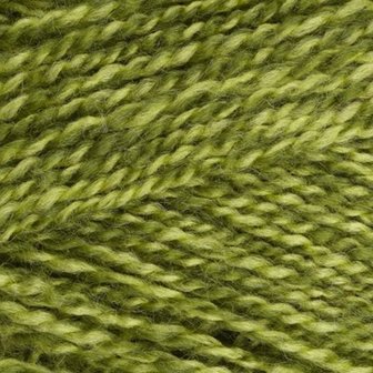 Stylecraft Special DK - 1124 Greengage