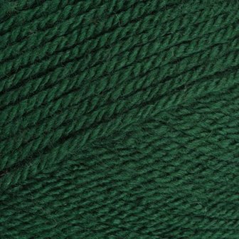 Stylecraft Special DK - 1009 Bottle