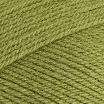 Stylecraft Special DK - 1065 Meadow