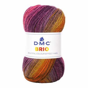 DMC Brio - Multikleur 405