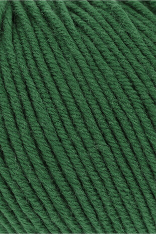 Lang Yarns Merino 120 - 417 donker groen