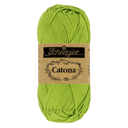 Catona - 205 Kiwi