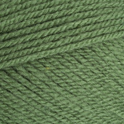 Stylecraft Special DK - 1824 Cypress