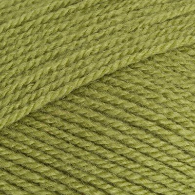 Stylecraft Special DK - 1065 Meadow