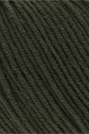 Lang Yarns Merino 120 - 498 Moss