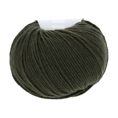 Lang Yarns Merino 120 - 498 Moss