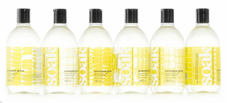 Soak Wasmiddel 375 ml - Pineapple SOAK Wash