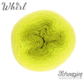 Whirl - 563 Citrus Squeeze 