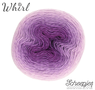 Whirl -  558 Shrinking Violet 