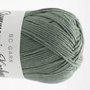 Summer in Kashmir GOTS  - 22 Greenish Grey