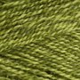 Stylecraft Special DK - 1124 Greengage