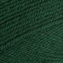 Stylecraft Special DK - 1009 Bottle