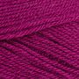 Stylecraft Special DK - 1828 Boysenberry 