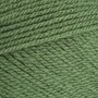 Stylecraft Special DK - 1824 Cypress 