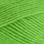 Stylecraft Special DK - 1821 Grass Green 