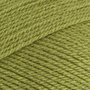 Stylecraft Special DK - 1065 Meadow