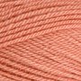 Stylecraft Special DK - 1836 Vintage Peach