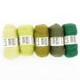 Bhedawool – Set van 5 kleuren – 550 Green