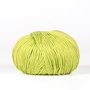 BC Garn Alba - 09 Light green