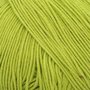 BC Garn Alba - 09 Light green