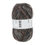 Lang Yarns Super Soxx – 348 Thorium