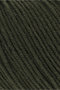 Lang Yarns Merino 120 - 498 Moss 