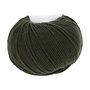Lang Yarns Merino 120 - 498 Moss 