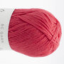 Summer in Kashmir GOTS –  09 Brick Red