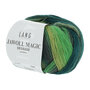 Lang Yarns Jawoll Magic Dégradé - 017 Parakeet