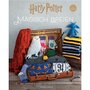 Boek Harry Potter Magisch Breien