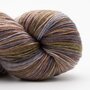 Lazy Lion Sock Yarn - 010 Earth Wind no Fire