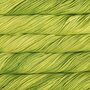 Malabrigo Rios  - 011 Apple Green