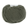 Lang Yarns Merino 70 - 198 Army Green