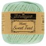Scheepjes Maxi Sweet Treat - 402 Silver Green