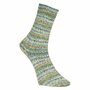 Pro Lana Bamboo Socks - 969