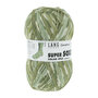 Lang Yarns Super Soxx – 392 Olivine