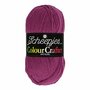 Scheepjes Colour Crafter - 1828 Zutphen