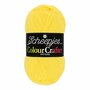 Scheepjes Colour Crafter - 1263 Leerdam