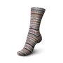 ARNE & CARLOS 6 ply sokkengaren - 150 gram kleur 4010