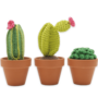 Hardicraft Haakpakket - Cactussen