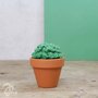 Hardicraft Haakpakket - Cactussen