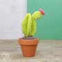 Hardicraft Haakpakket - Cactussen