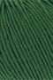 Lang Yarns Merino 120 - 417 donker groen