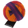 Zauberball, 1536 A Bed of Fuchsia