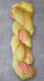 Mokum Superwash Sock 100 gram - Vondelpark